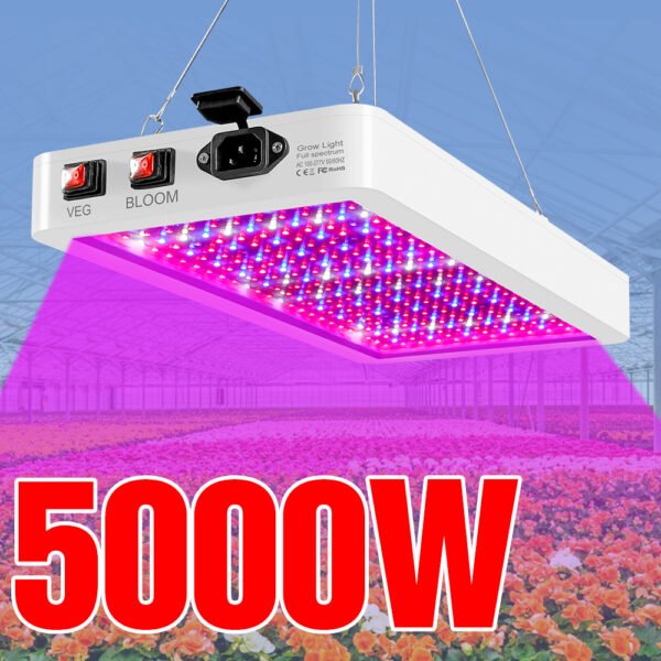 5000 واط الكم مجلس LED تنمو ضوء فيتو مصباح شاشة ليد بطيف كامل النباتات لمبة داخلي 4000 واط Phytolamp ل زهرة الشتلات Fitolamp